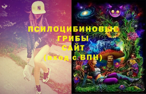 мет Арсеньев