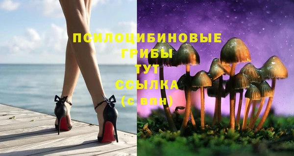 стафф Сатка