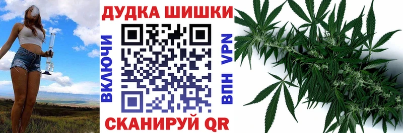 где купить наркотик Камешково Канабис конопля